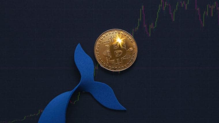 Bitcoin, Ethereum Technical Analysis: BTC Reaches 1-Year High Above $31,000 to Enter the Weekend