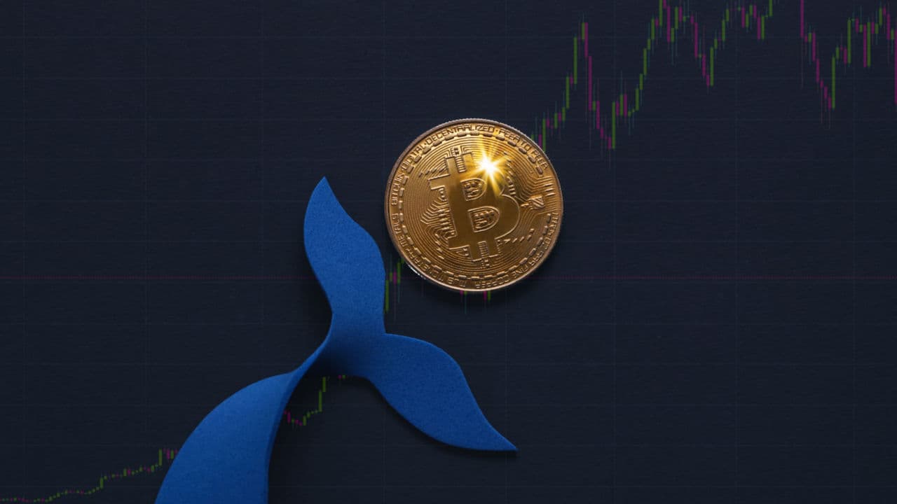 Bitcoin, Ethereum Technical Analysis: BTC Reaches 1-Year High Above $31,000 to Enter the Weekend 