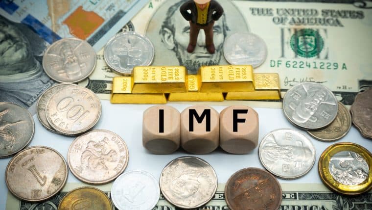 IMF Boss: Supporting Egyptian Currency Akin to 'Putting Water in a Bucket That Has Holes'