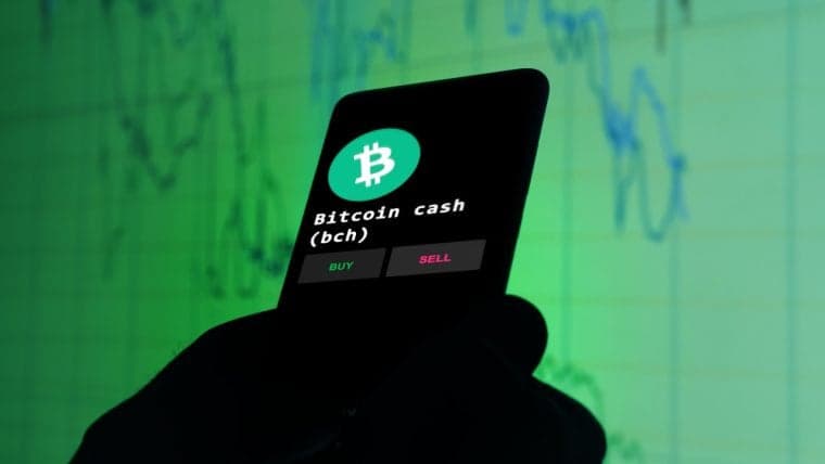 Biggest Movers: BCH Price Plunges Following Recent 15-Month High