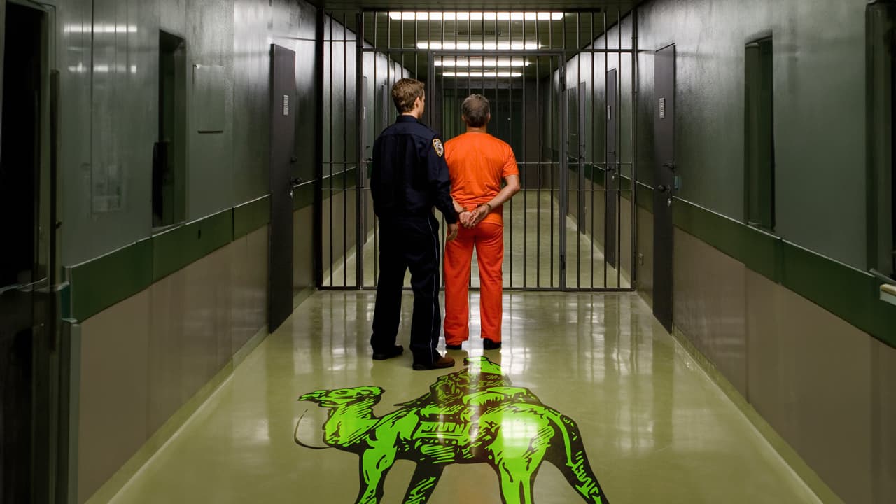 Silk Road Advisor Sentenced to 20 Years in Prison While a Rogue Double-Agent Eludes Capture