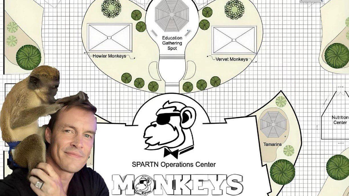 The Tribe Awaits: Monkeys Token and the Power of Community in Crypto