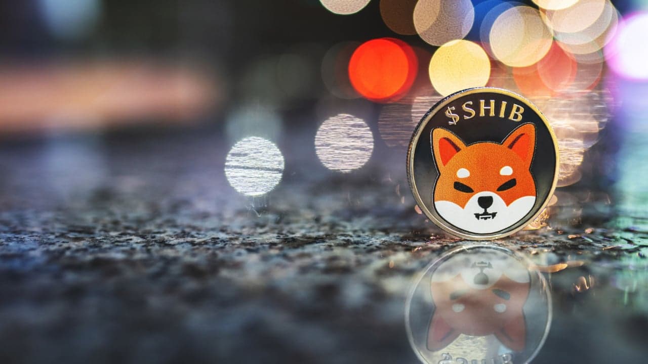 Biggest Movers: SHIB, XRP Jump Higher on Saturday