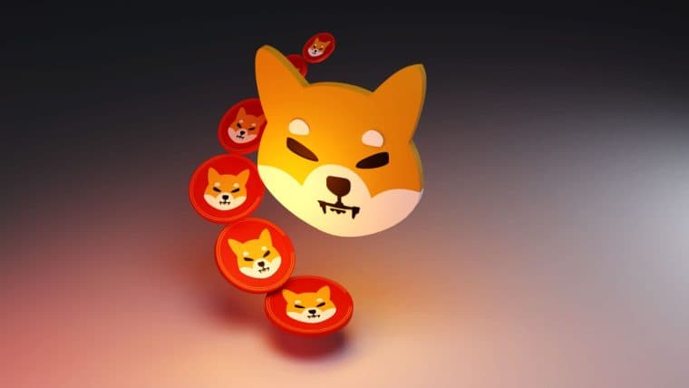 Biggest Movers: SHIB Climbs to 4-Month High, as Meme Coins Rally on Saturday