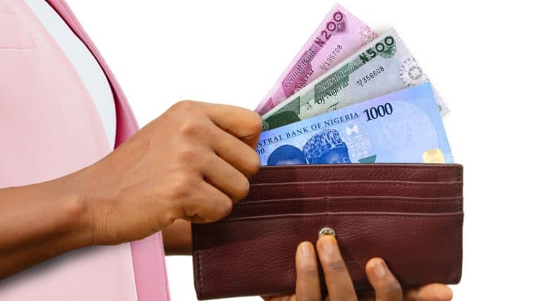 Report: Nigerian Central Bank Sued for Dollarizing Economy