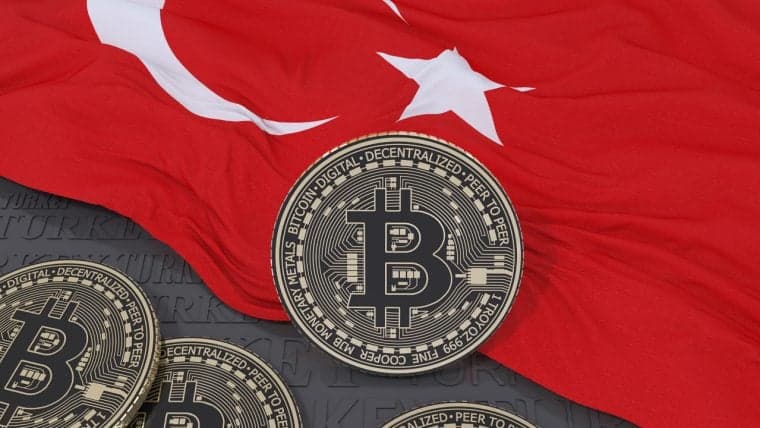 Just Over Half of Turkey's Adults Invested in Crypto Assets Between Nov. 2021 and May 2023 — Study