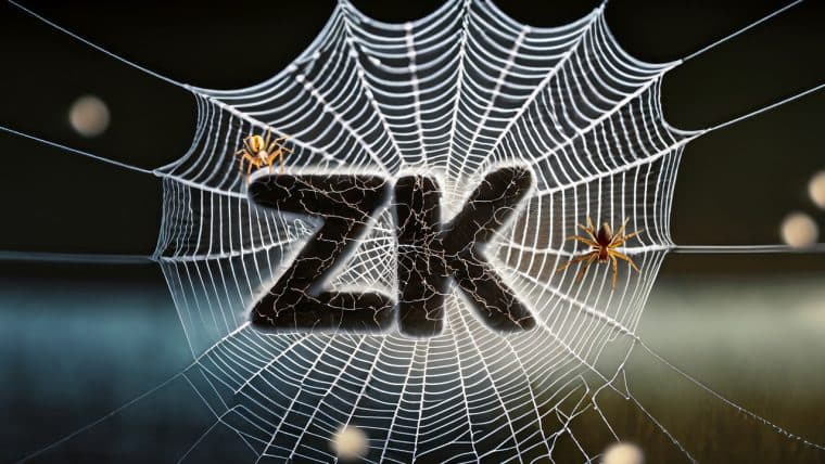 ZK-Rollup Coin Sector's Value Plummets by 46% in 7 Months