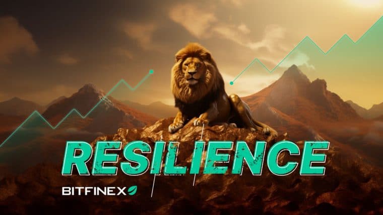 Bitfinex's Role in Taming Crypto Market Volatility: Resilience at Its Core
