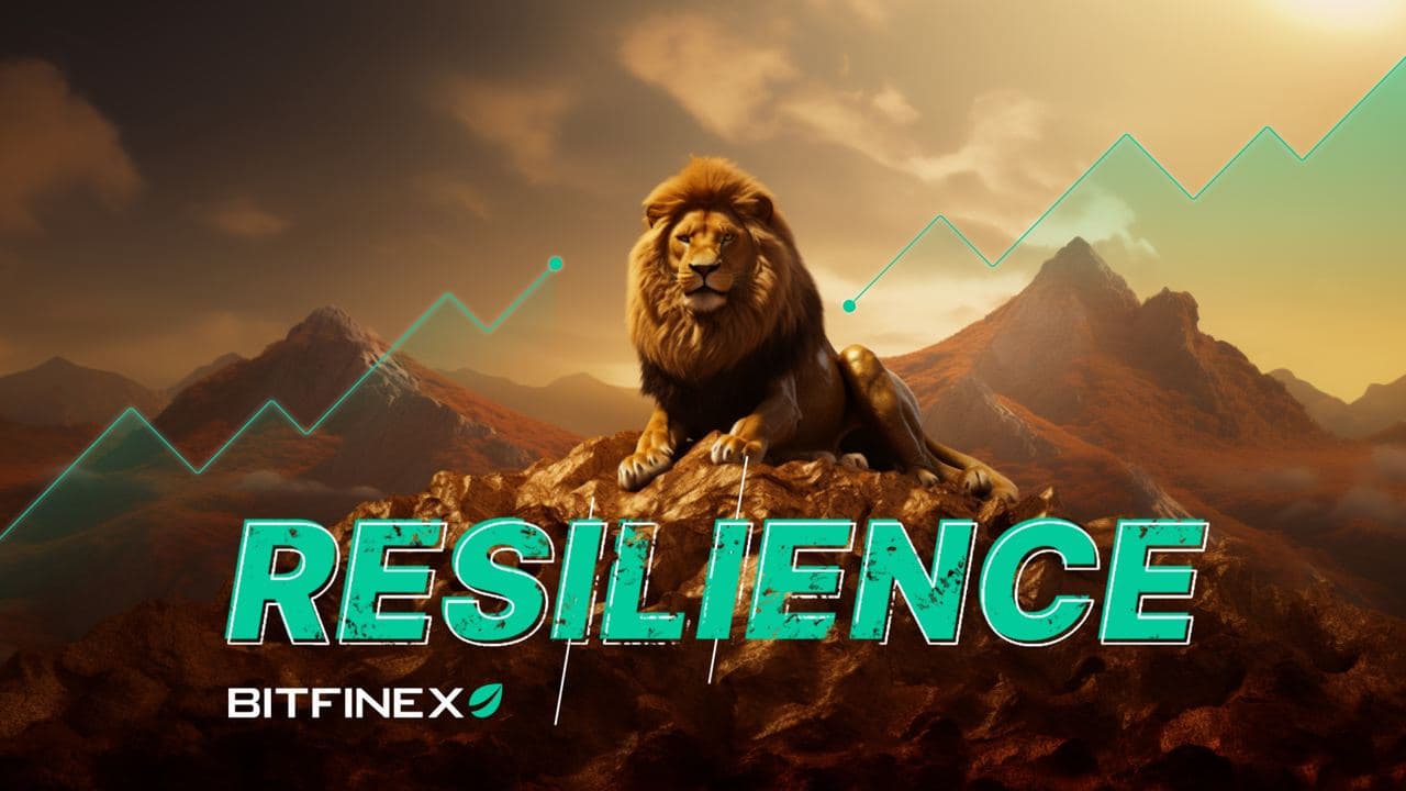 Bitfinex's Role in Taming Crypto Market Volatility: Resilience at Its Core