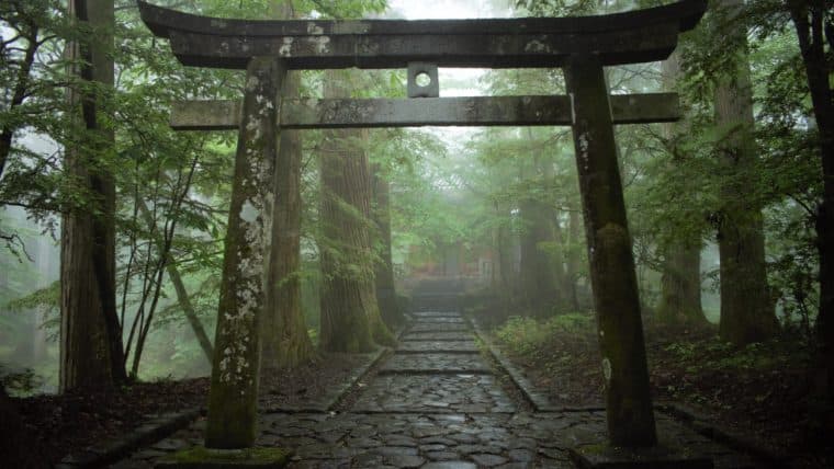 Vitalik Buterin Discusses Ethereum Protocol 'Enshrining': 'Blockchains Are Social Systems'