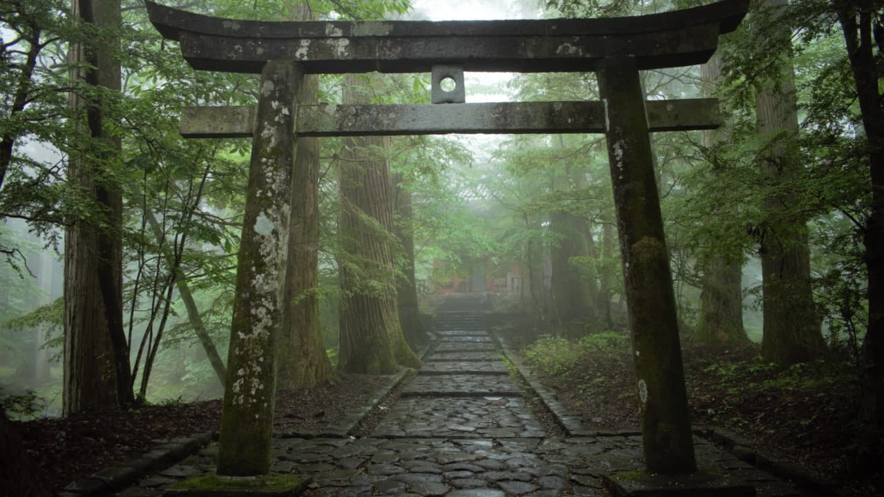 Vitalik Buterin Discusses Ethereum Protocol 'Enshrining': 'Blockchains Are Social Systems'