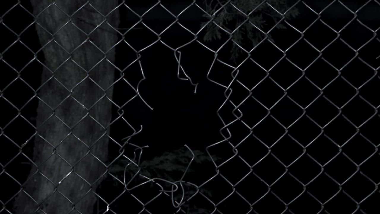 Kyber Network Confirms Security Incident in Which $47 Million Was Stolen