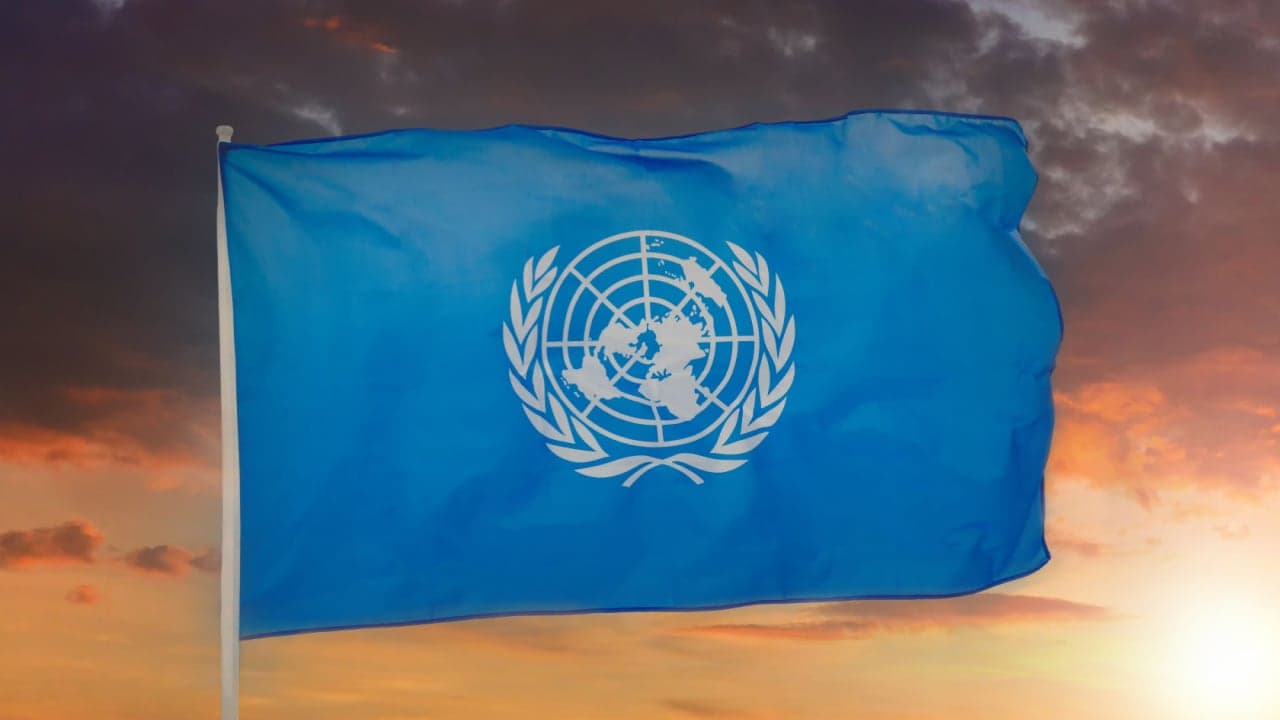 ONU Desarrollo y la Fundación Algorand lanzarán la Academia de Blockchain en el primer trimestre de 2024