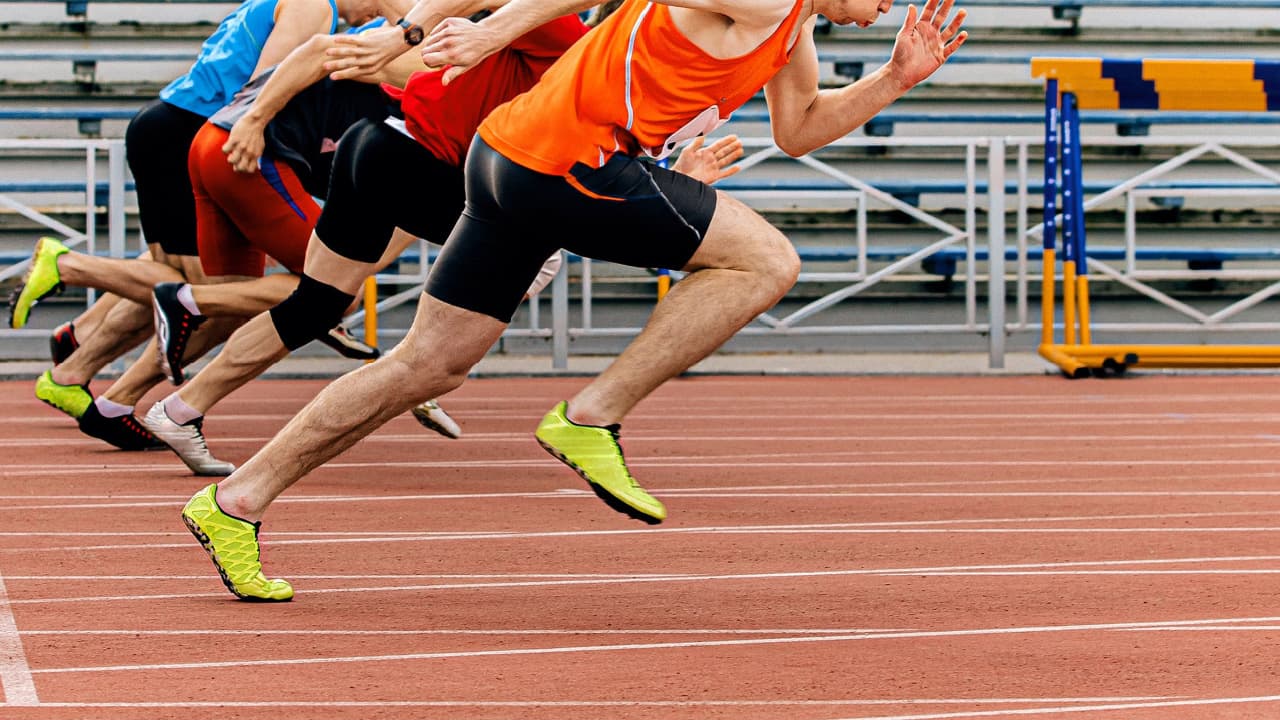 Gli ETF su Bitcoin spot sfidano la guerra delle commissioni mentre Bitwise percorre una strada unica