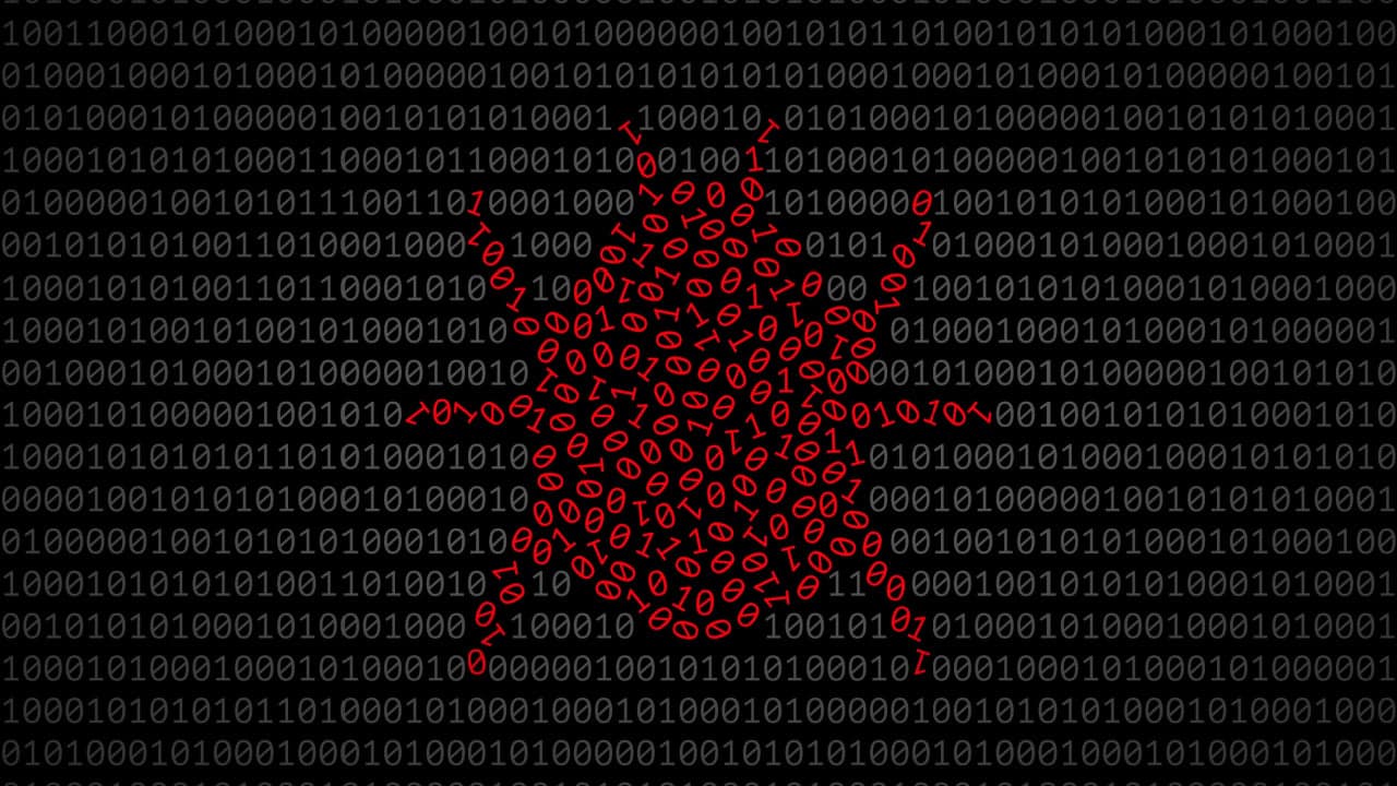 Stellar Development Foundation Votes to Delay Protocol 20 Upgrade Amid Bug Concerns