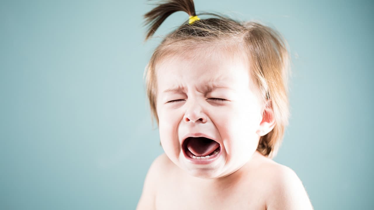 Ordinals Founder Casey Rodarmor Warns Bitcoin Maxis That 'Whining' Makes Them 'Look Weak'