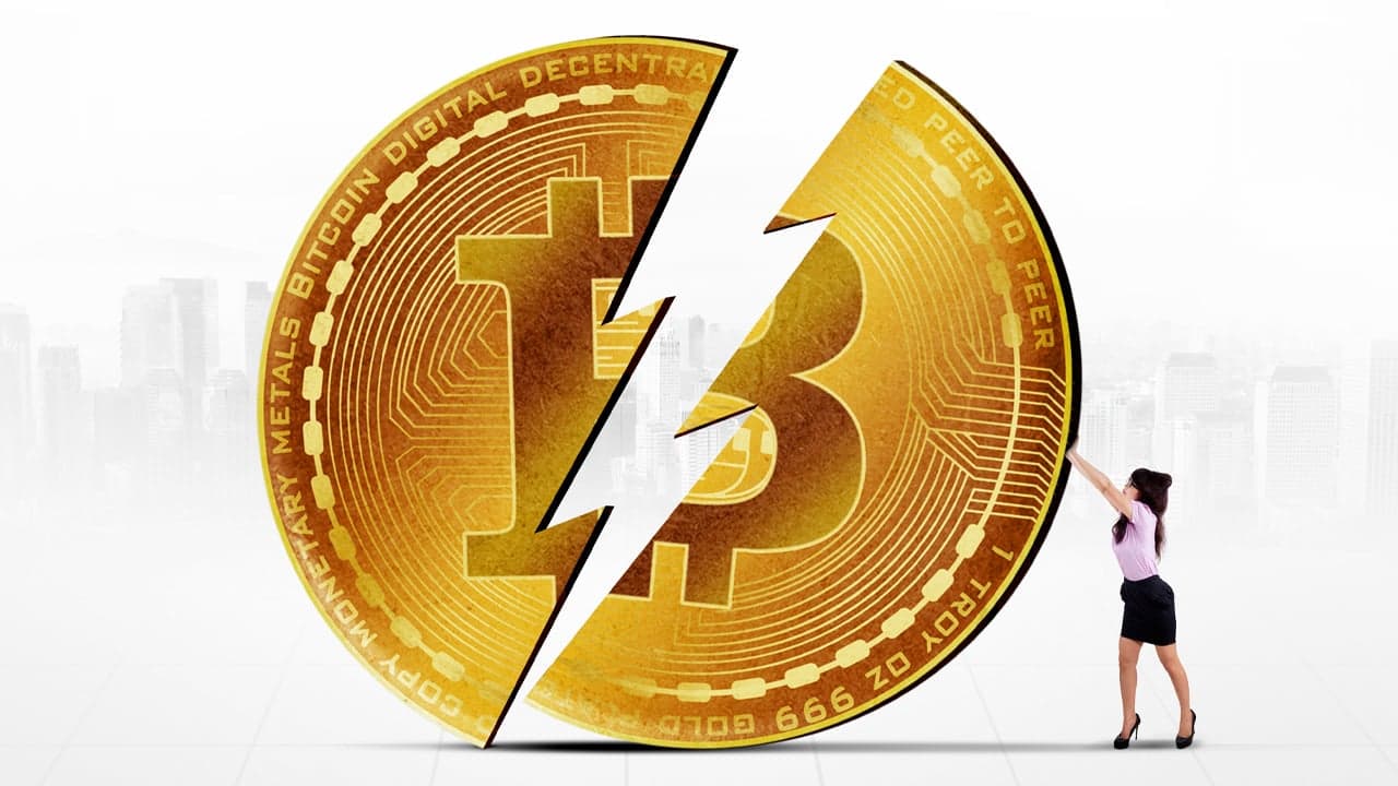 April 2024 Bitcoin-Halbierung weckt weltweites Interesse, Daten zeigen