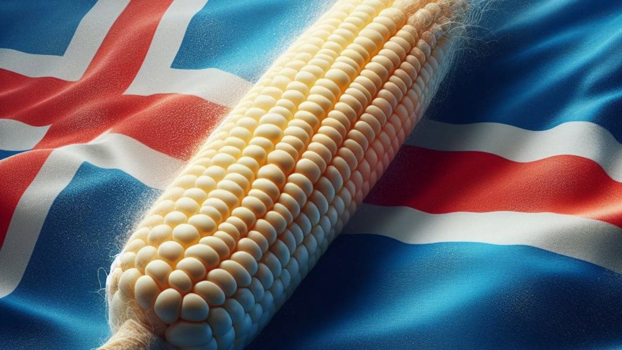 Iceland's Prime Minister Vows to Prioritize Food Security Over Bitcoin
