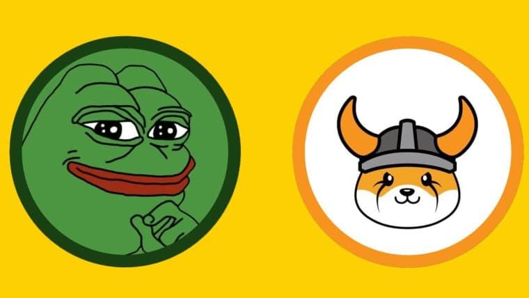Von Lachen zu Beute: Meme Coins FLOKI und PEPE erleben explosiven Wachstum während des Krypto-Anstiegs