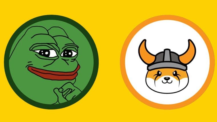 Da Risate a Ricchezza: Le Meme Coin FLOKI e PEPE Vedono una Crescita Esplosiva Durante l'Impennata delle Criptovalute