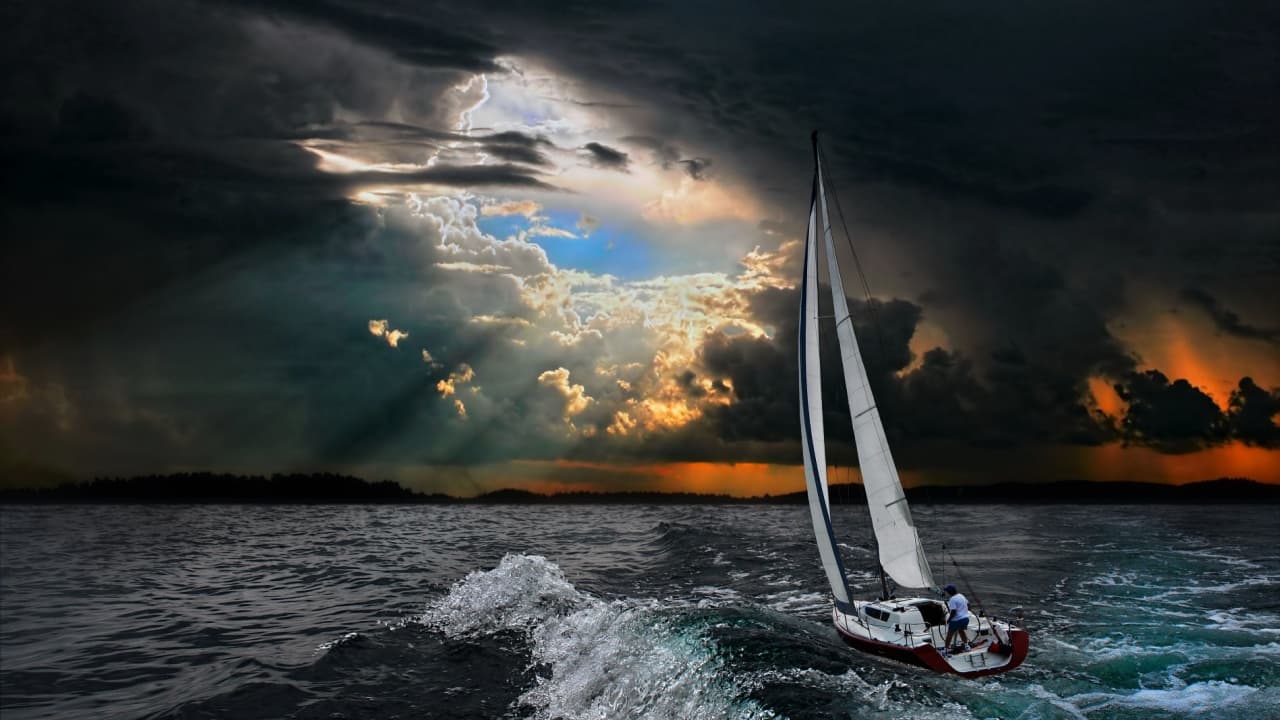 La flambée des pièces Mème alors que les NFTs traversent une période difficile