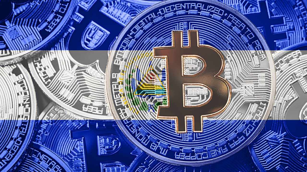 La directora ejecutiva de Ark, Cathie Wood, habla sobre Bitcoin con el presidente de El Salvador — Aplaude su visión para un centro de BTC