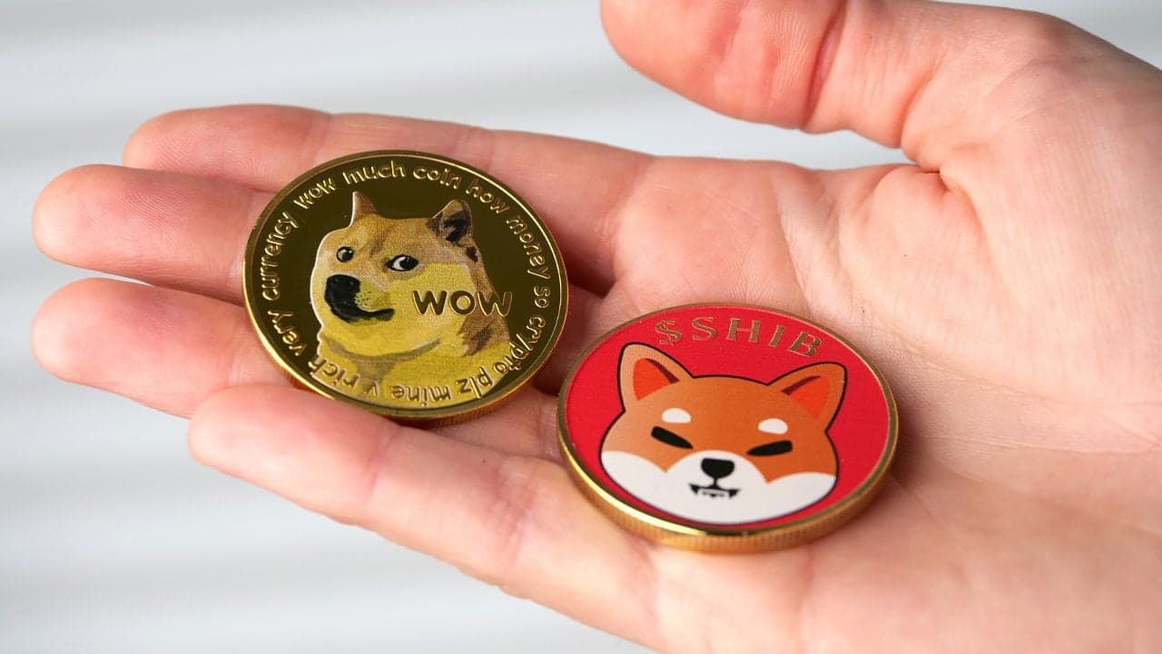 Studio: I partecipanti al mercato delle criptovalute prediligono le monete meme, evitano progetti con FDV elevato