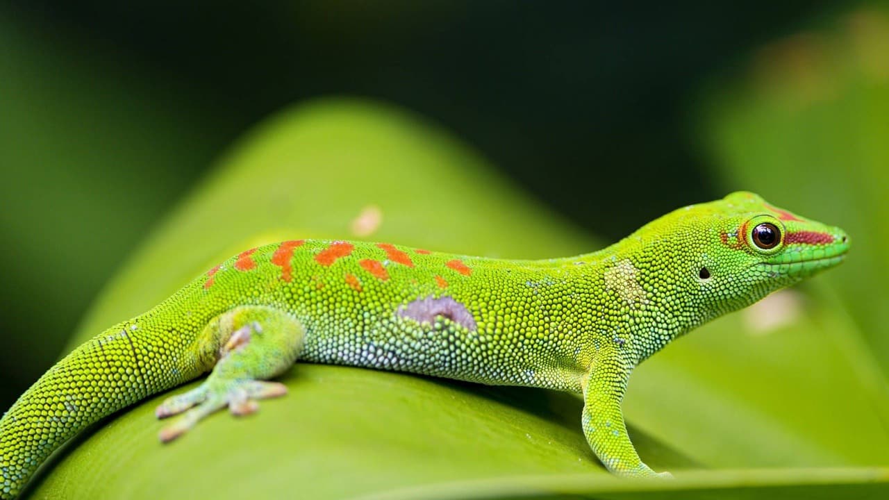 Утечка данных в Coingecko затрагивает почти 2 миллиона пользователей