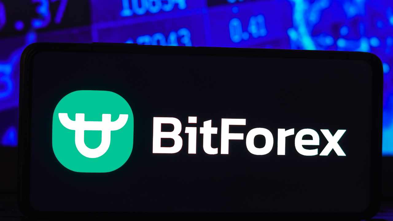 Bitforex возобновит вывод средств спустя месяцы после ареста членов команды, из-за чего платформа стала недоступной