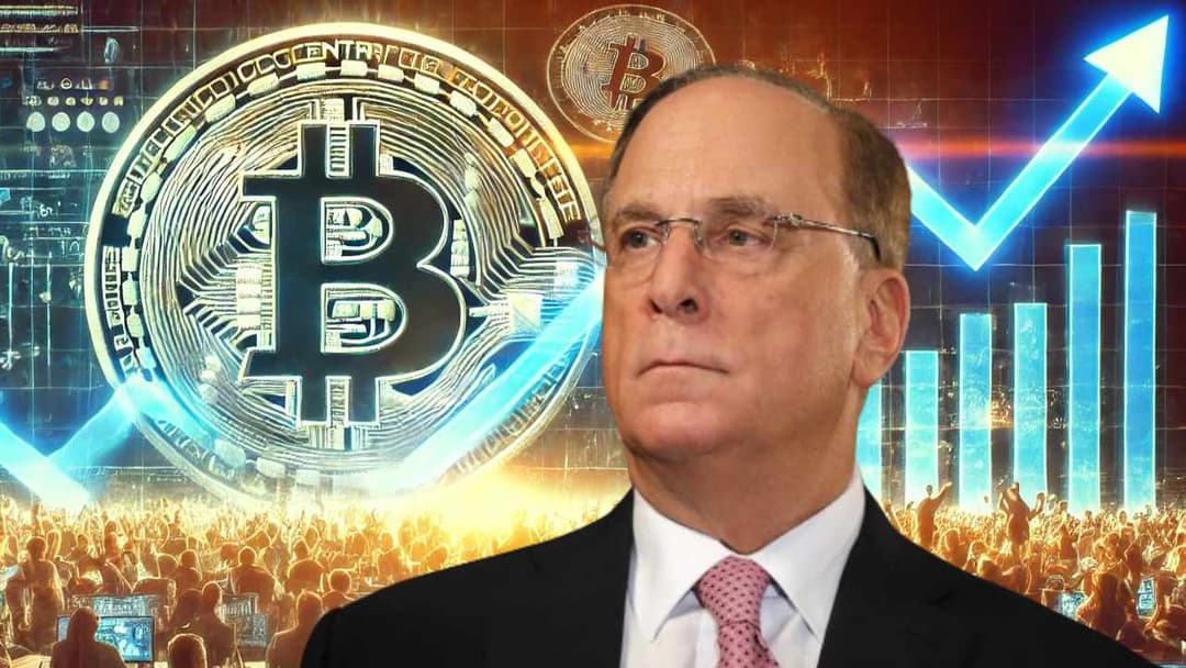 Blackrock CEO Larry Fink Explains Why Everyone Should Consider Bitcoin ...