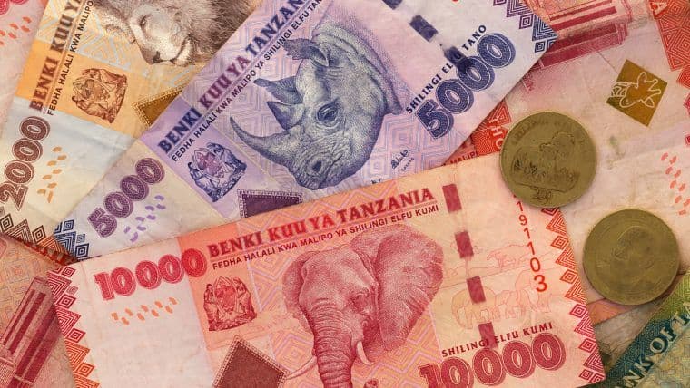 Tanzania busca fortalecer la moneda local con directiva que exige a los turistas usar chelines