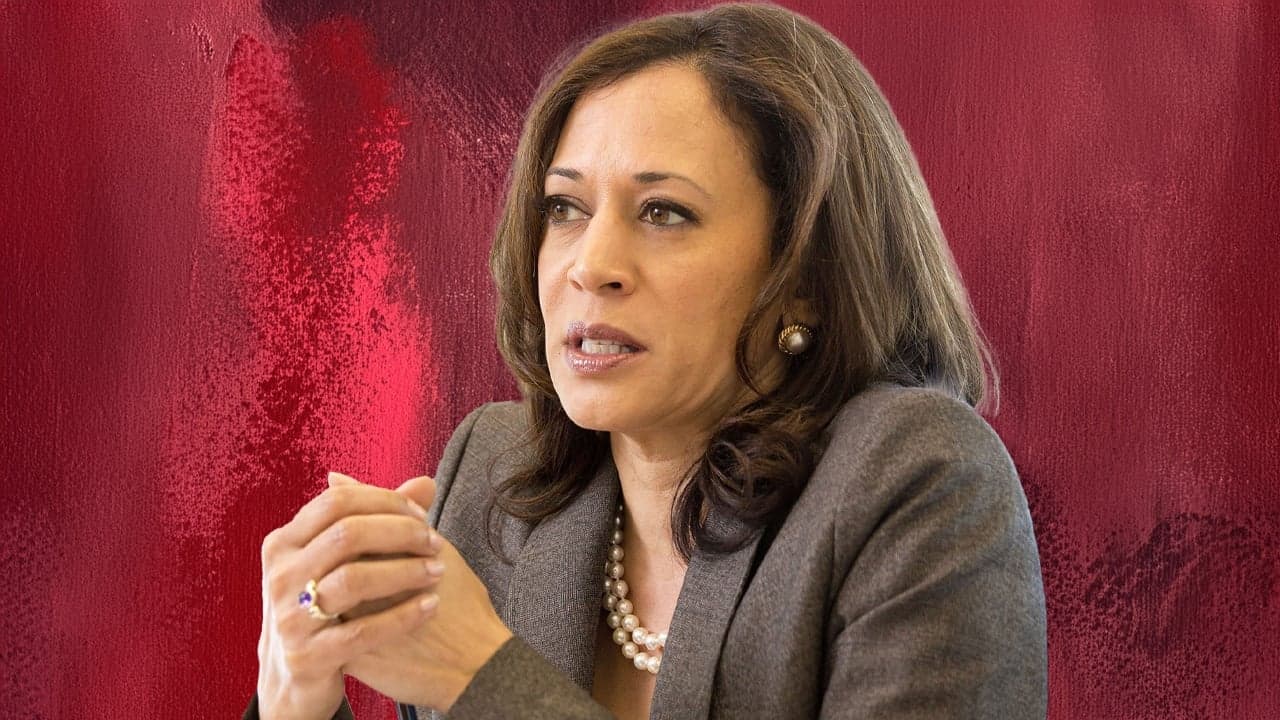 Lebensmittelpreiskontrollen in Amerika? Kamala Harris' kontroverse Strategie für 2024 enthüllt