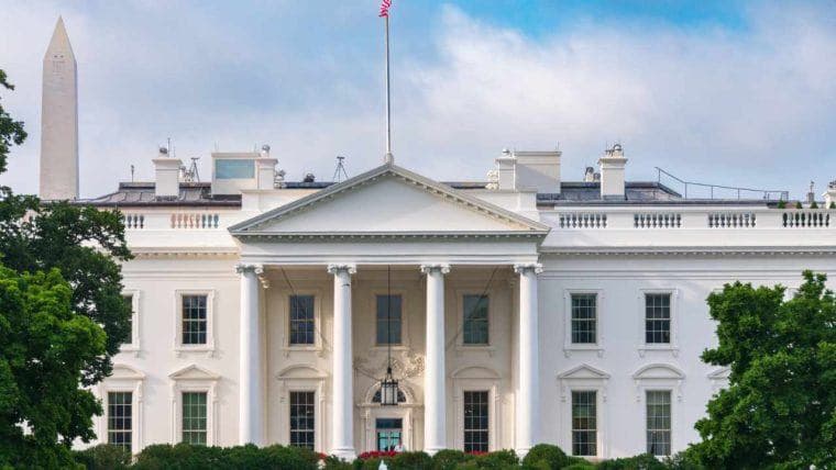 Donald Trump considera Elon Musk per un ruolo nel gabinetto