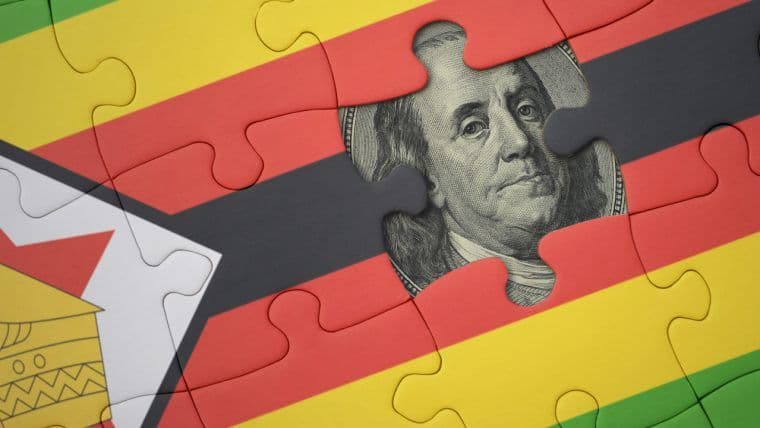 Lo Zimbabwe svelerà il percorso verso la de-dollarizzazione, afferma un funzionario governativo