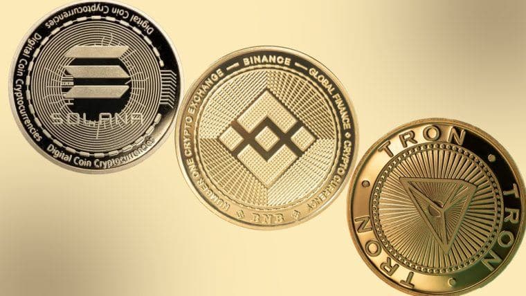 Penjelajahan Mendalam ke 10 Besar Rantai L1 berdasarkan Catatan Transfer Harian