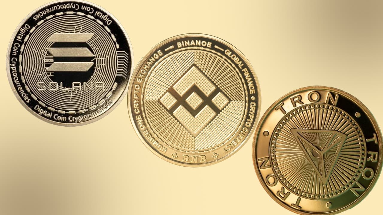 Una inmersión profunda en las 10 principales cadenas L1 por registros de transferencias diarias