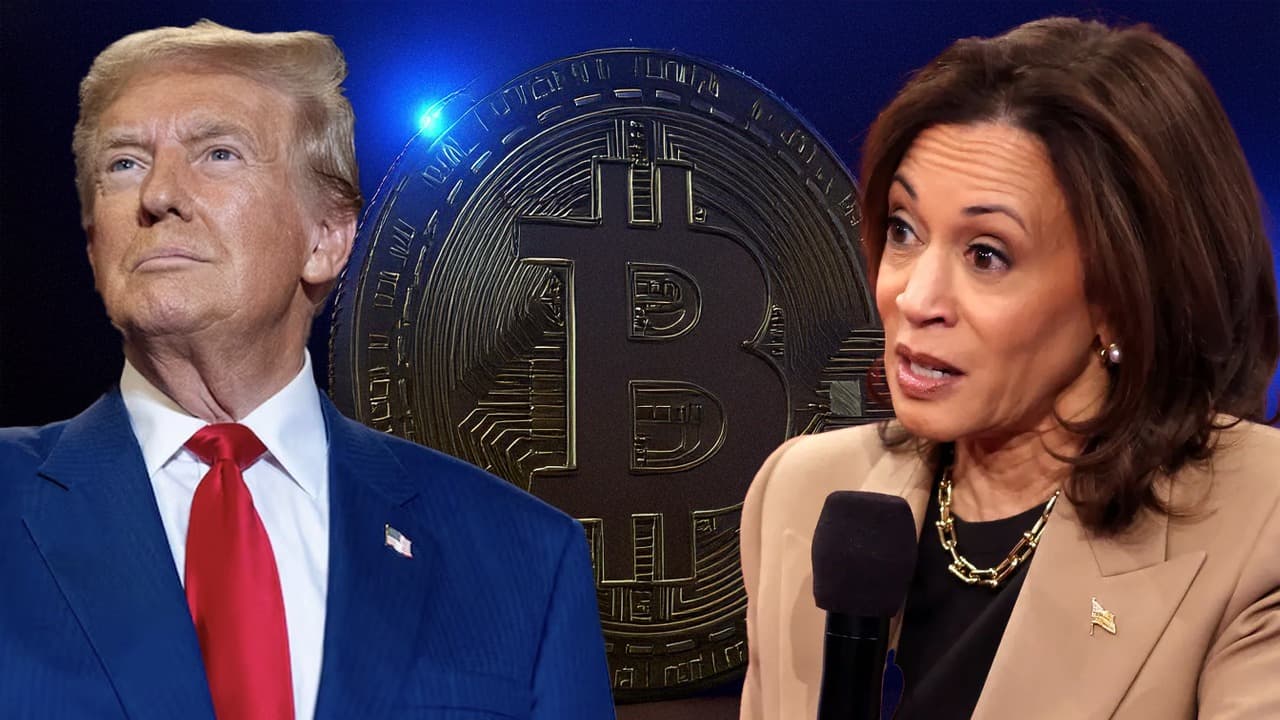 QCP Capital : Le potentiel de Bitcoin pour un rallye « Uptober » reflète les tendances historiques des élections