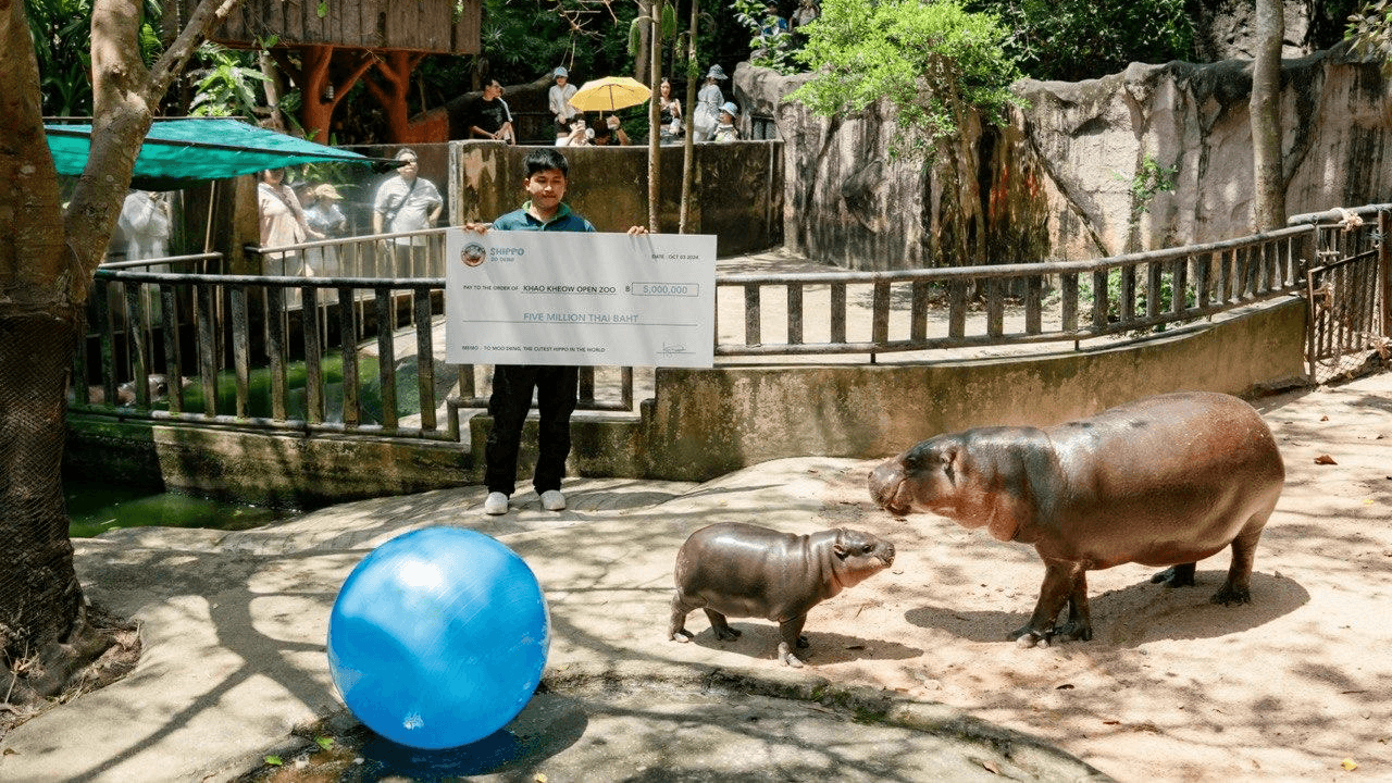 SUI Meme $HIPPO Enters Into Charity Partnership With Moo Deng’s Zoo