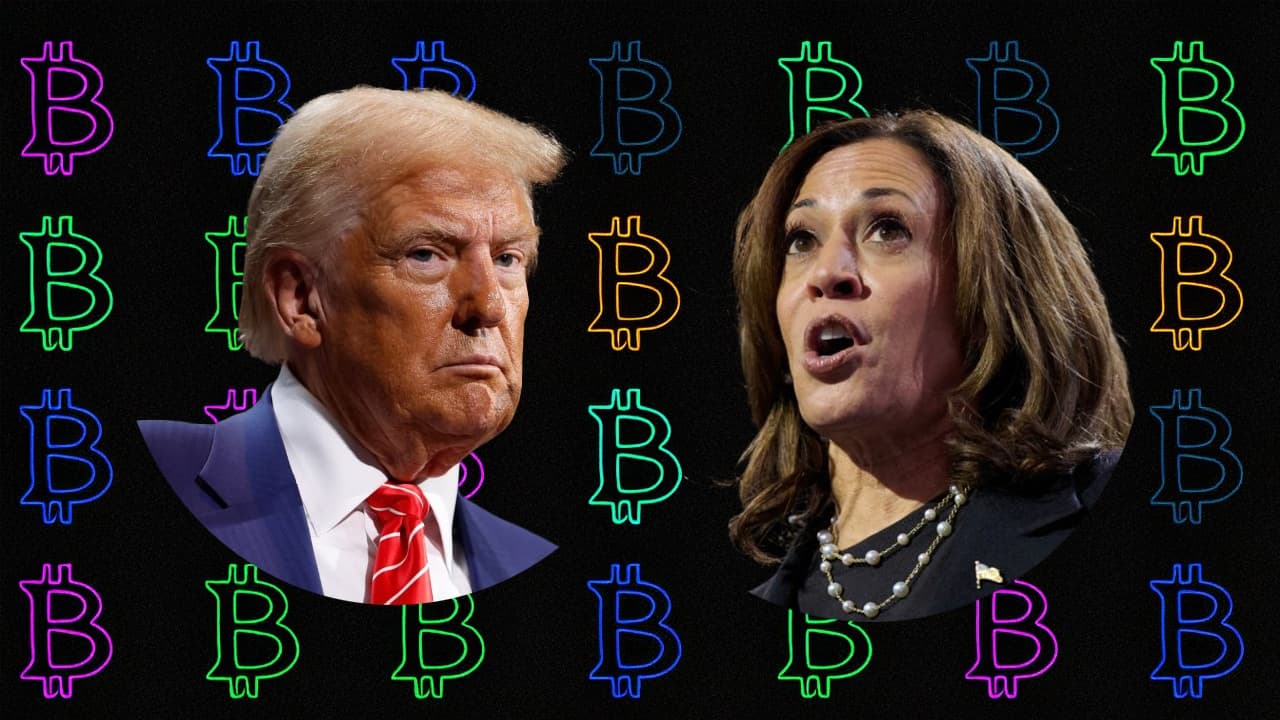 Estudio: La Victoria de Trump Probablemente Impulse una Tendencia Alcista en los Precios de Criptomonedas