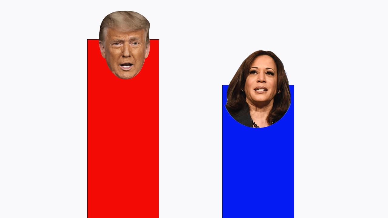 Polymarket Election Buzz: Por qué el liderazgo de Trump está generando tanto escépticos como memes