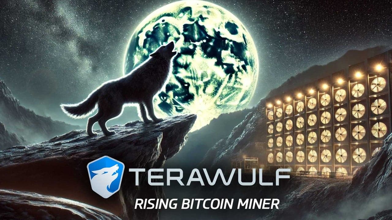 TeraWulf : Aperçu d'un mineur de Bitcoin en pleine ascension en 2024