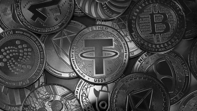 Cryptoquant 보고서: 기록적인 활동이 알트코인을 새로운 높이로 이끈다