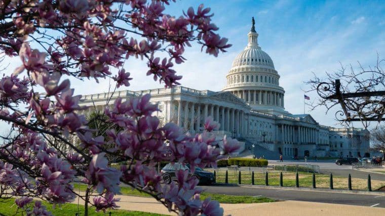 Legislatore Richiede una Revisione a Causa di Fallimenti Normativi: 'L'Era della Regolamentazione Post-Crisi Finanziaria è Finita'