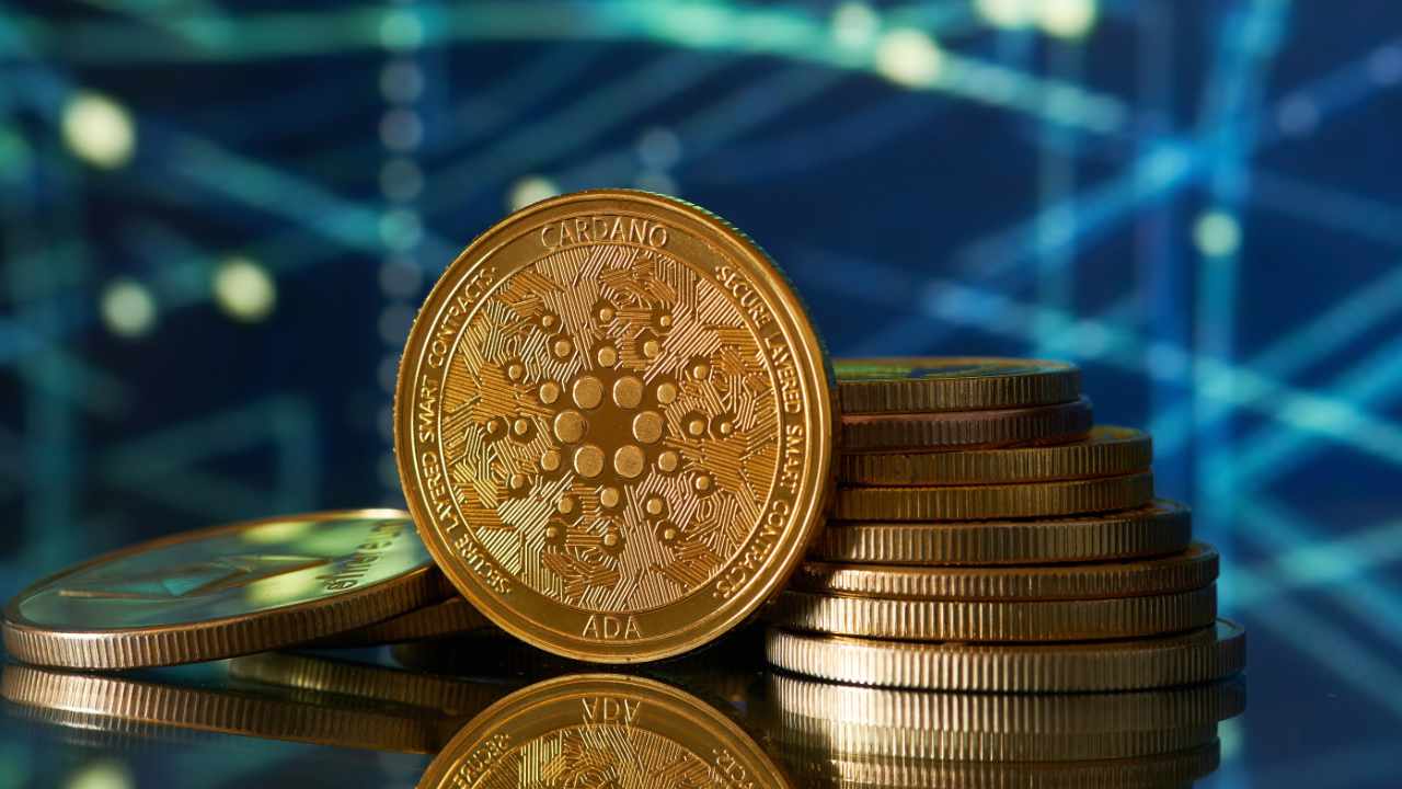 ADA Panic: Bufala della Causa SEC e Paura del Burn Scuotono la Comunità Cardano