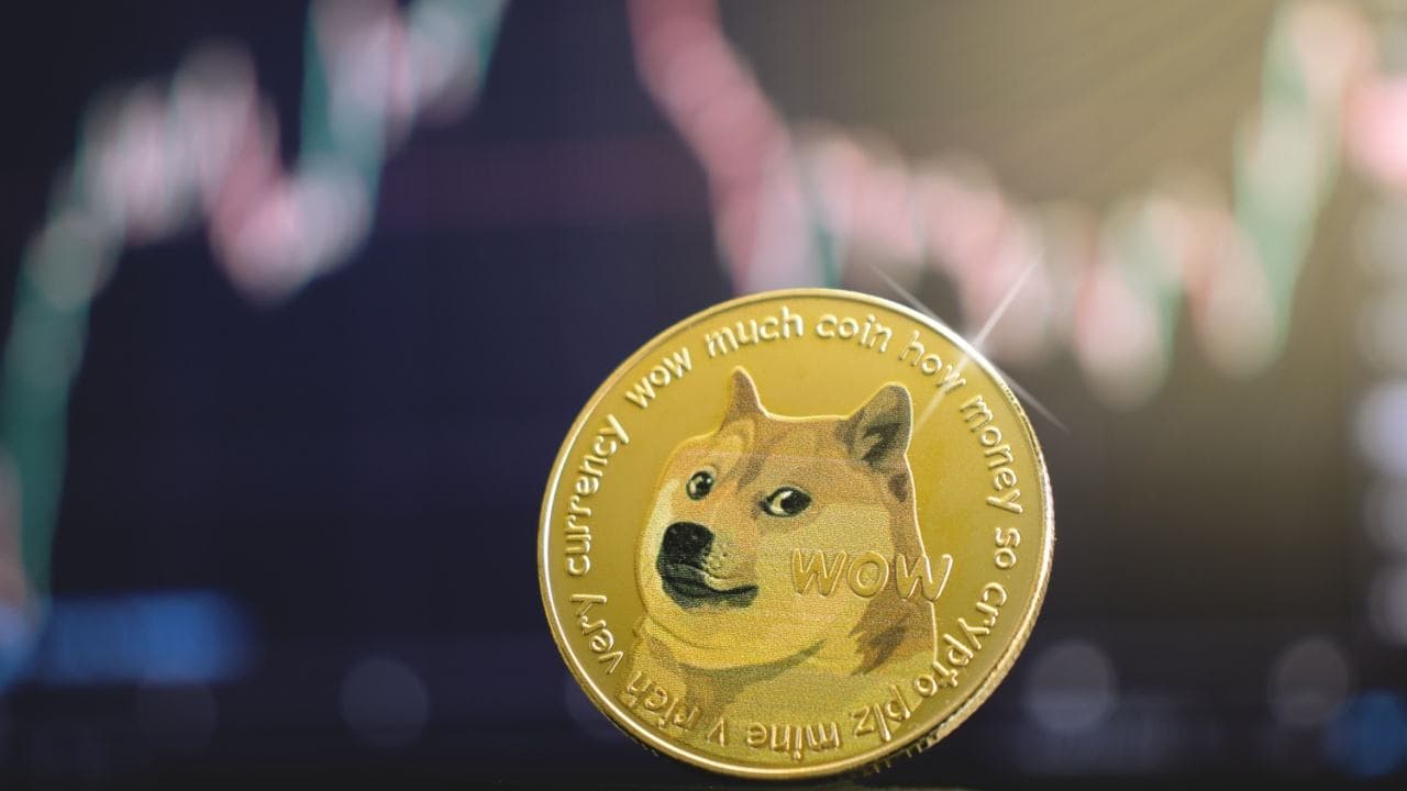 Bitwise Förbereder Tyst för Dogecoin ETF