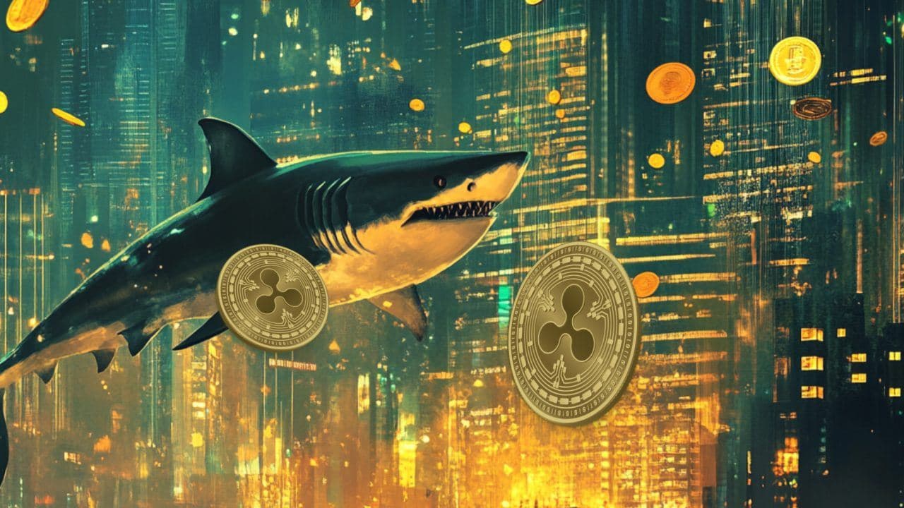 Remittix: Here's Why Analysts Are Calling The PayFi Star RTX The 'Next XRP’