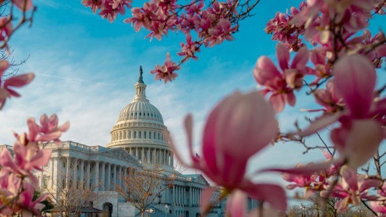 Ripple-CEO lobt neuen Finanzminister—Erwartet pro-Krypto, pro-technologische Reformen