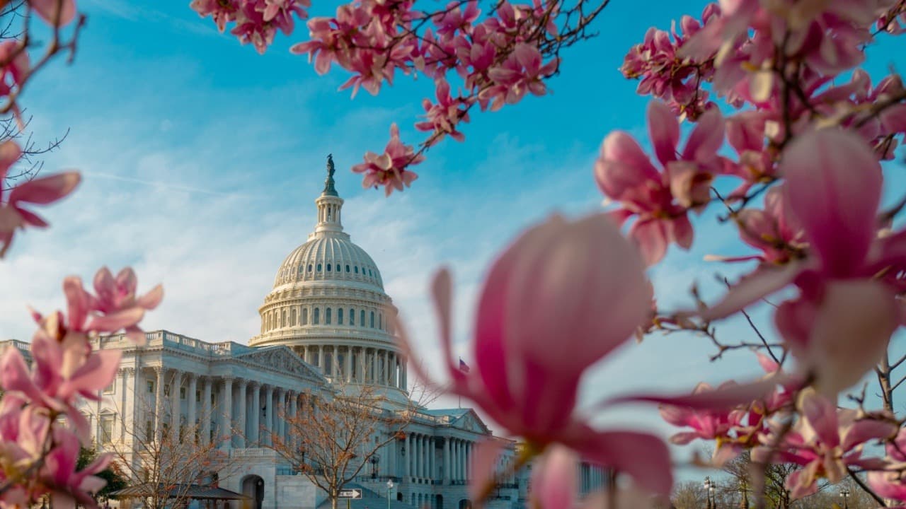 Ripple CEO roser den nye finansminister—Forventer pro-krypto, pro-tech reformer