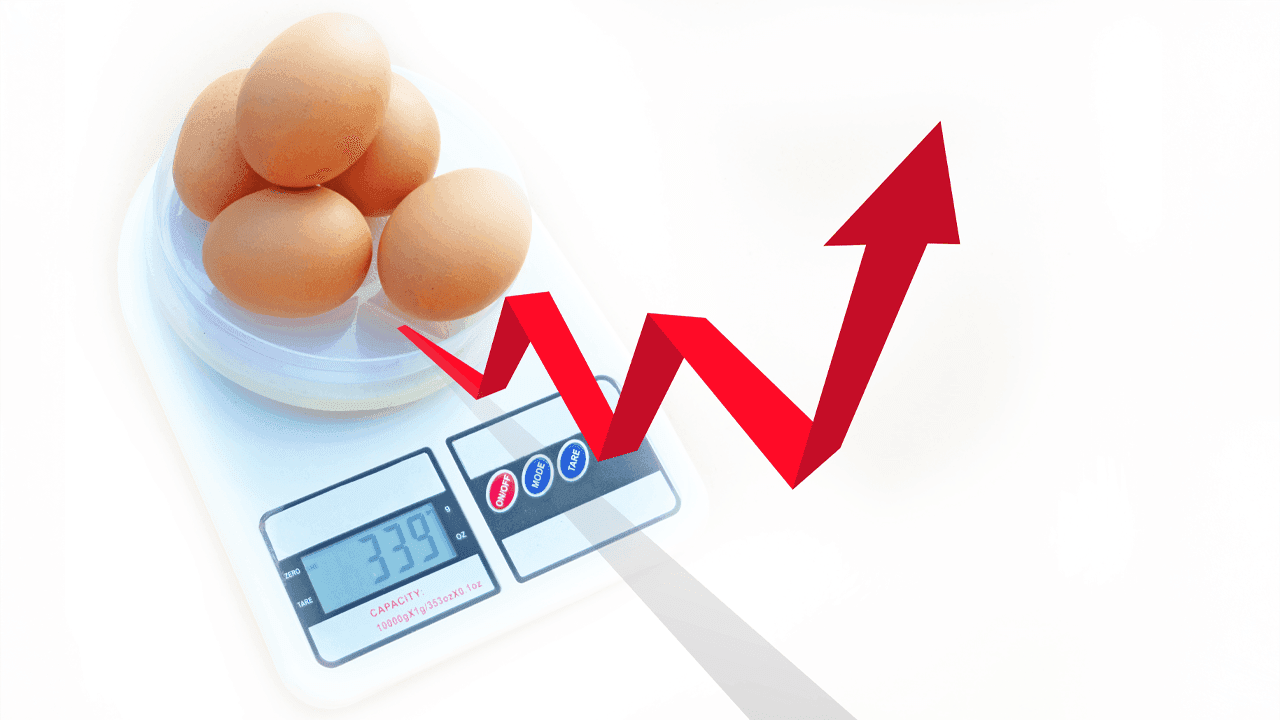 US-inflationens 'mareridt' forbliver klistret, mens prisstigninger i januar forstyrrer markederne