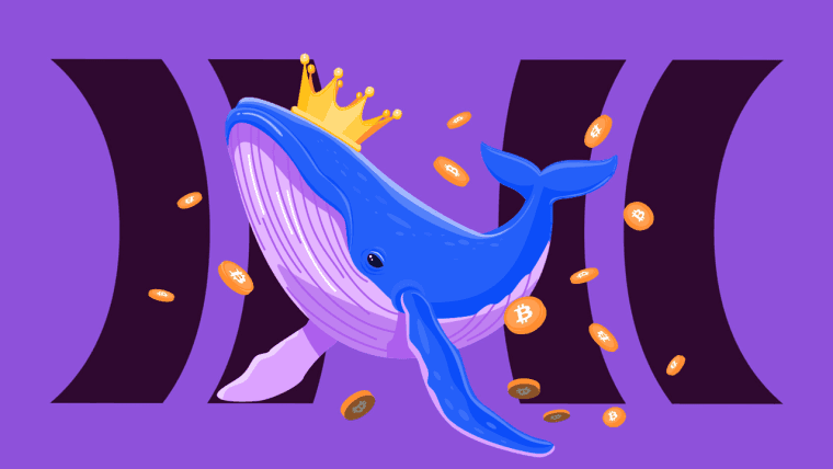 Cloudbet Supprime Toutes les Limites de Paris pour le Super Bowl LIX